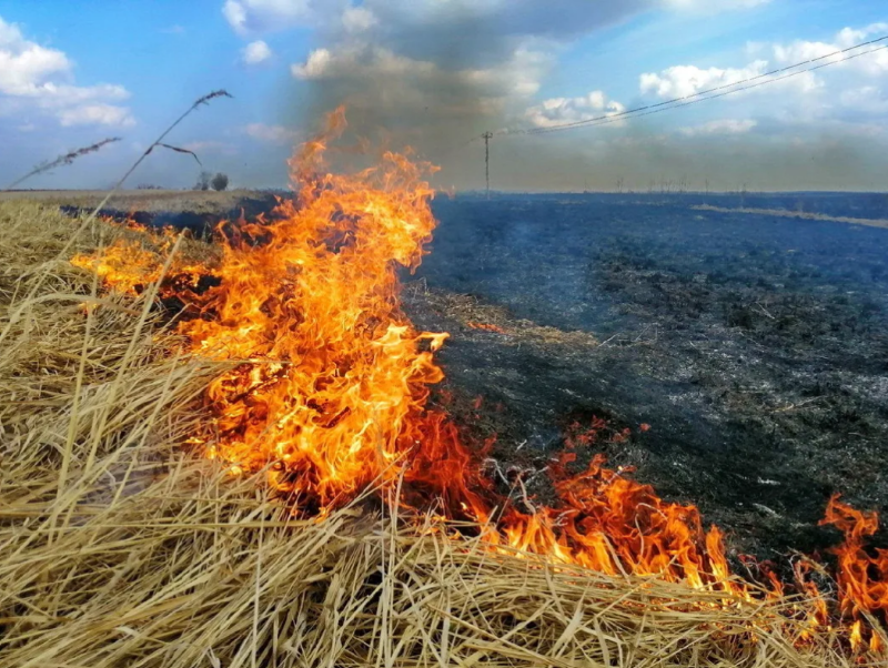 Астраханцам напоминают: за выжигание сухой травы грозят крупные штрафы
