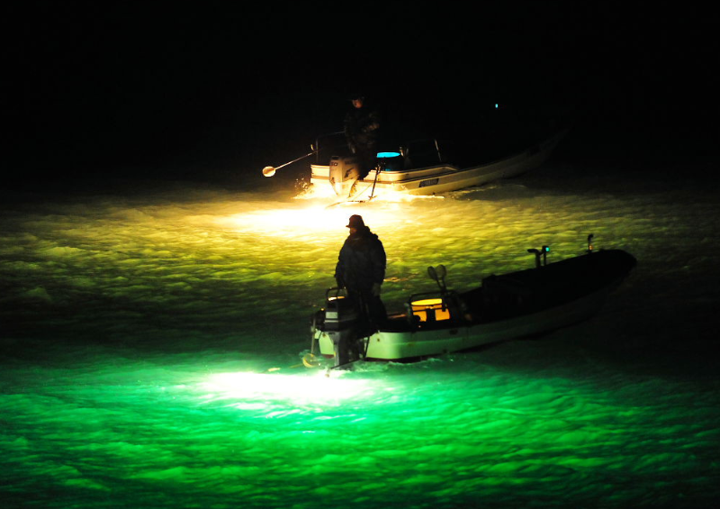 За ночную рыбалку без лицензии астраханская рыбопромысловая организация заплатила почти 5,5 миллионов
