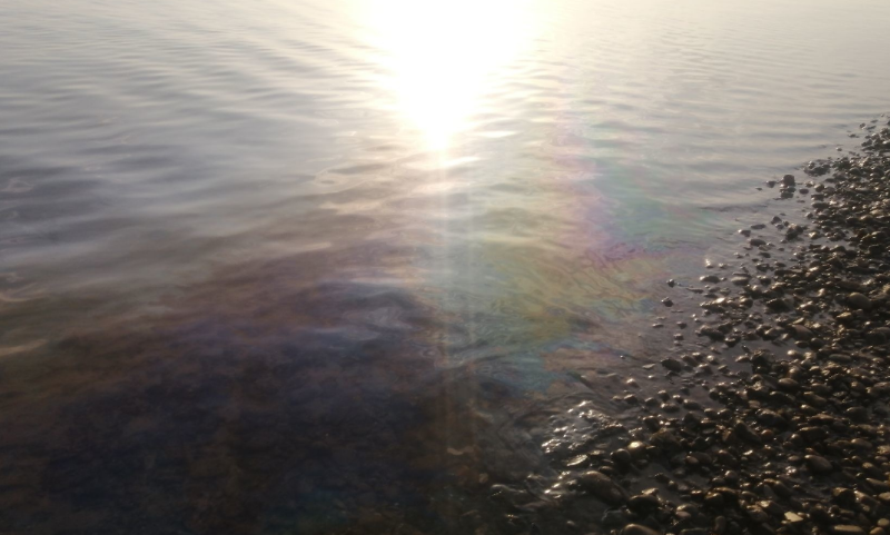 В Трусовском районе Астрахани акваторию Волги загрязнили нефтепродуктами