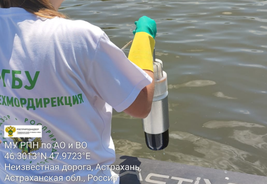 Росприроднадзор: в Астрахани на Волге растеклись нефтепродукты на 60 000 «квадратов»