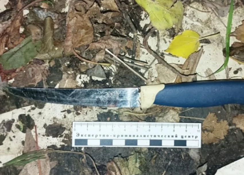 Астраханка получила срок за убийство мужа одним ударом