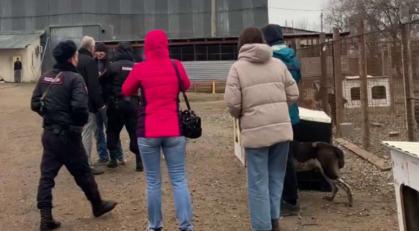 Руководитель астраханского приюта, из которого увозили мертвых собак, избегает встреч со СМИ и волонтерами