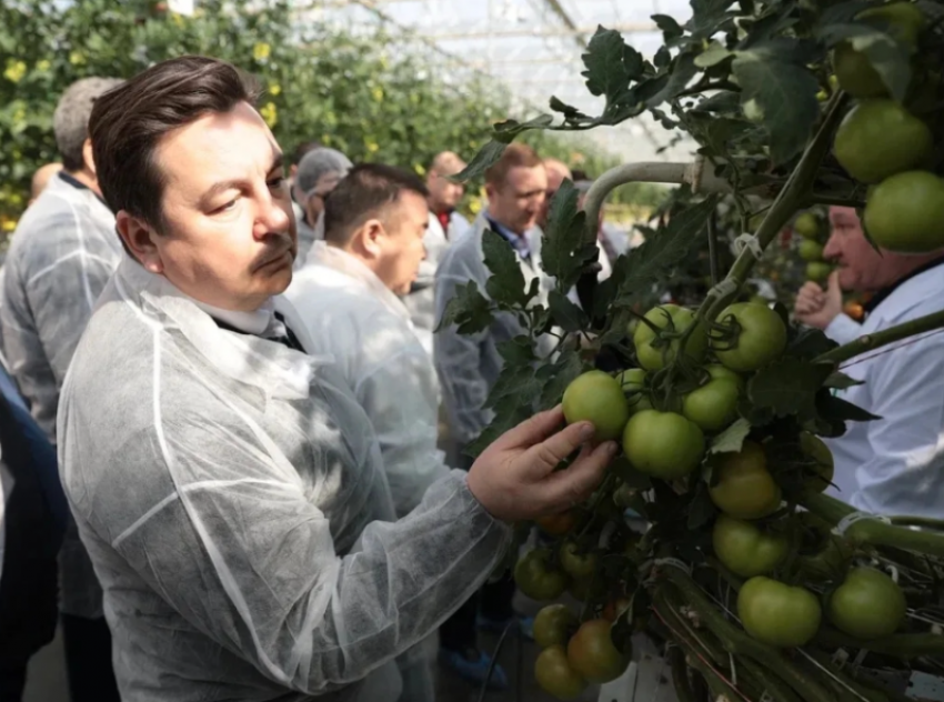 Астраханские томаты приняли участие в форуме «Малая Родина – сила России»