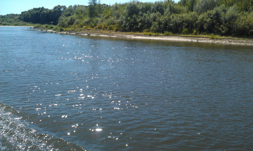 В Астраханской области утонул мужчина, его всеми силами пытались спасти