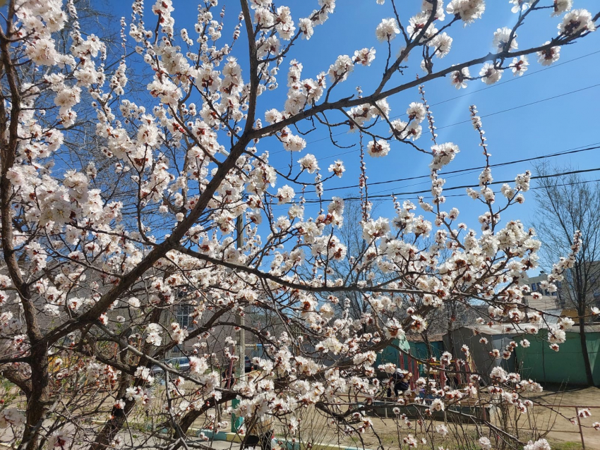 Погода, праздники, именины во вторник 16 апреля 