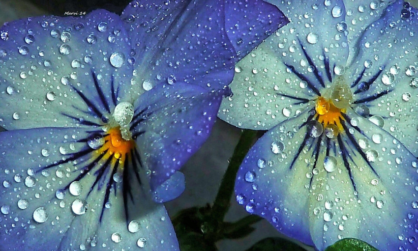 Прогноз погоды на 20 июля