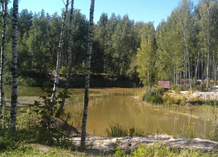 Скоро астраханцам позволят отстреливать болотно-луговую дичь