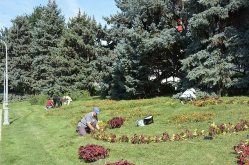 В Астрахани на площади Ленина привели в порядок цветники