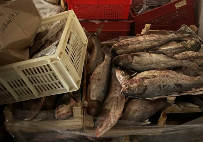 Под Астраханью пресечена попытка сбыта 20 тонн немаркированного леща