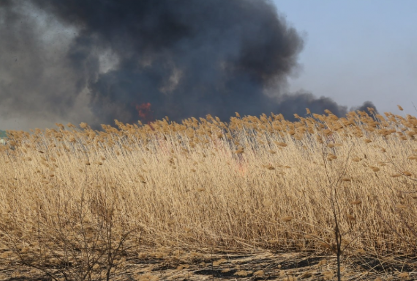 В Астрахани пожарные 40 раз тушили травяной пал за неделю