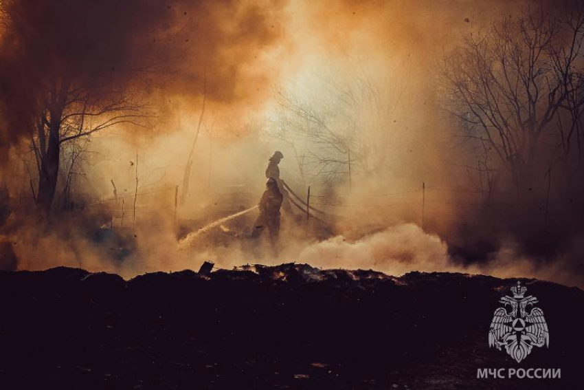 С начала года в Астраханской области случилось 790 загораний сухостоя и камыша