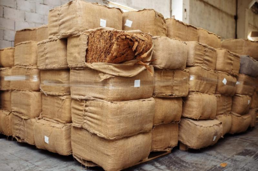 Доставленные в Астраханскую область 70 тонн зелени и табака вернули в Казахстан