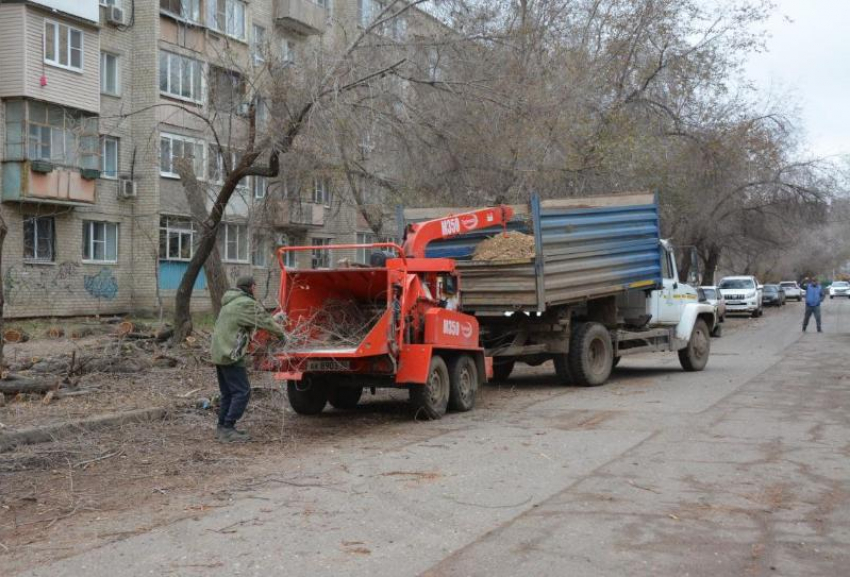 Астраханские коммунальщики приступили к опиловке деревьев на Ахшарумова
