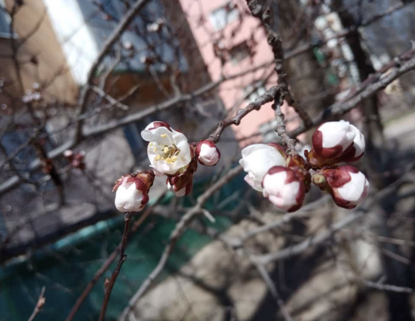 Погода, праздники, именины в воскресенье 14 апреля 