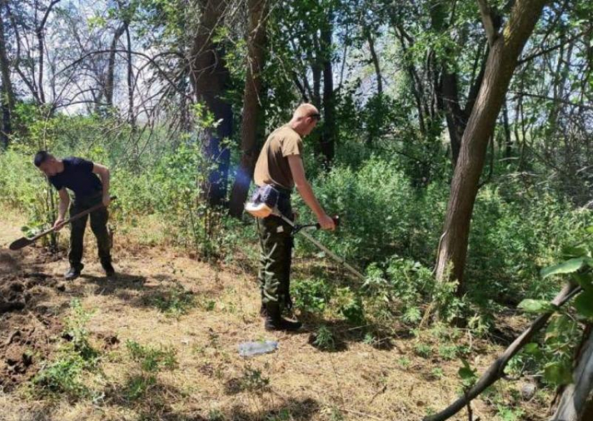 Астраханская полиция возбудила 49 дел о незаконном обороте наркотиков