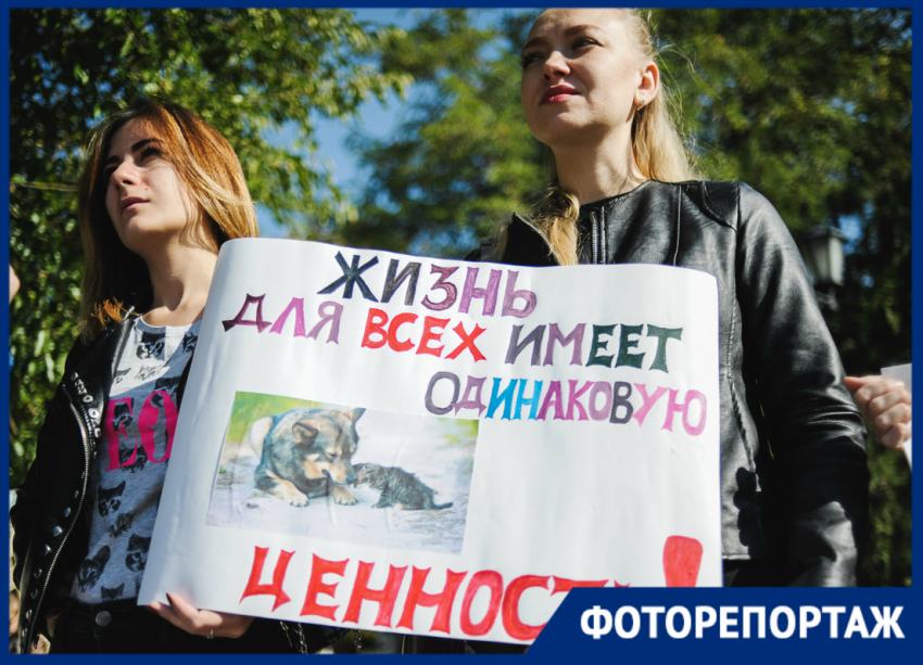 В Астрахани прошёл митинг в защиту животных