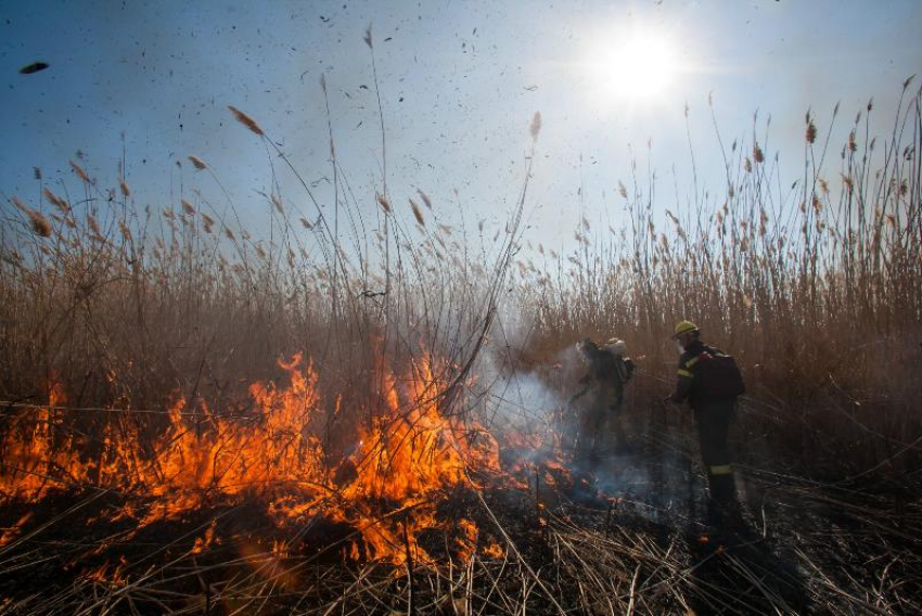 В Астрахани горели теплотрасса и большой участок тростника