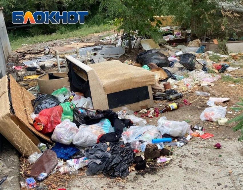 Жители улицы Савушкина: мусор с улиц не вывозят уже полтора месяца
