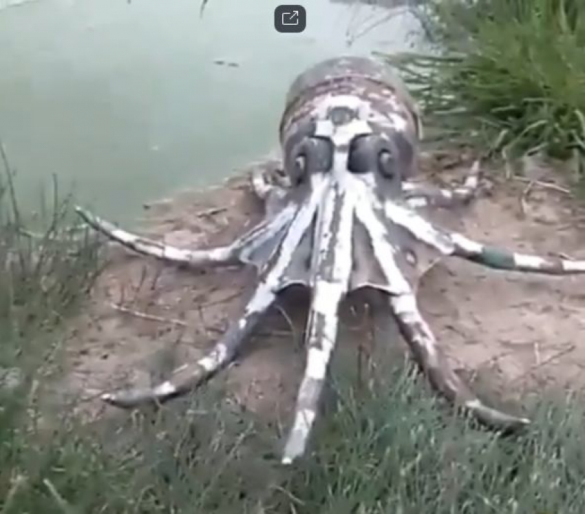 Выпускайте кракена — в Астрахани соорудили железного осьминога
