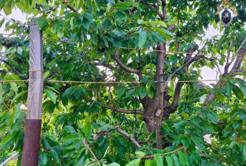 Жителя Астраханской области обвинили в смерти ребенка от удара током