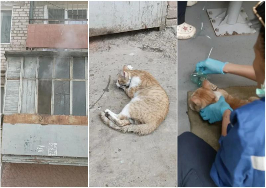 Астраханские спасатели эвакуировали из задымленного дома 25 человек и кошку