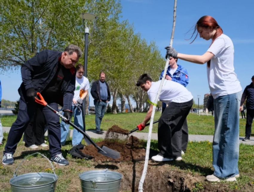 На центральной набережной Астрахани появились новые деревья