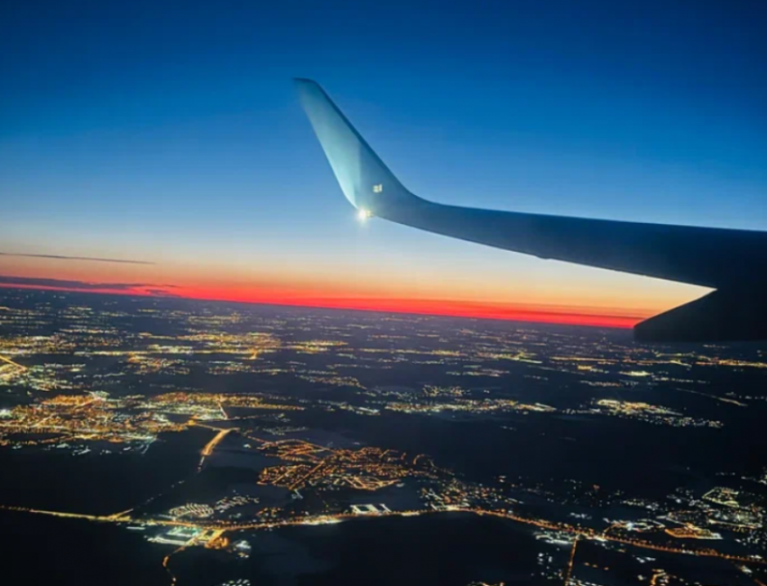 В Астрахани птицы на взлетной полосе аэропорта повредили самолеты