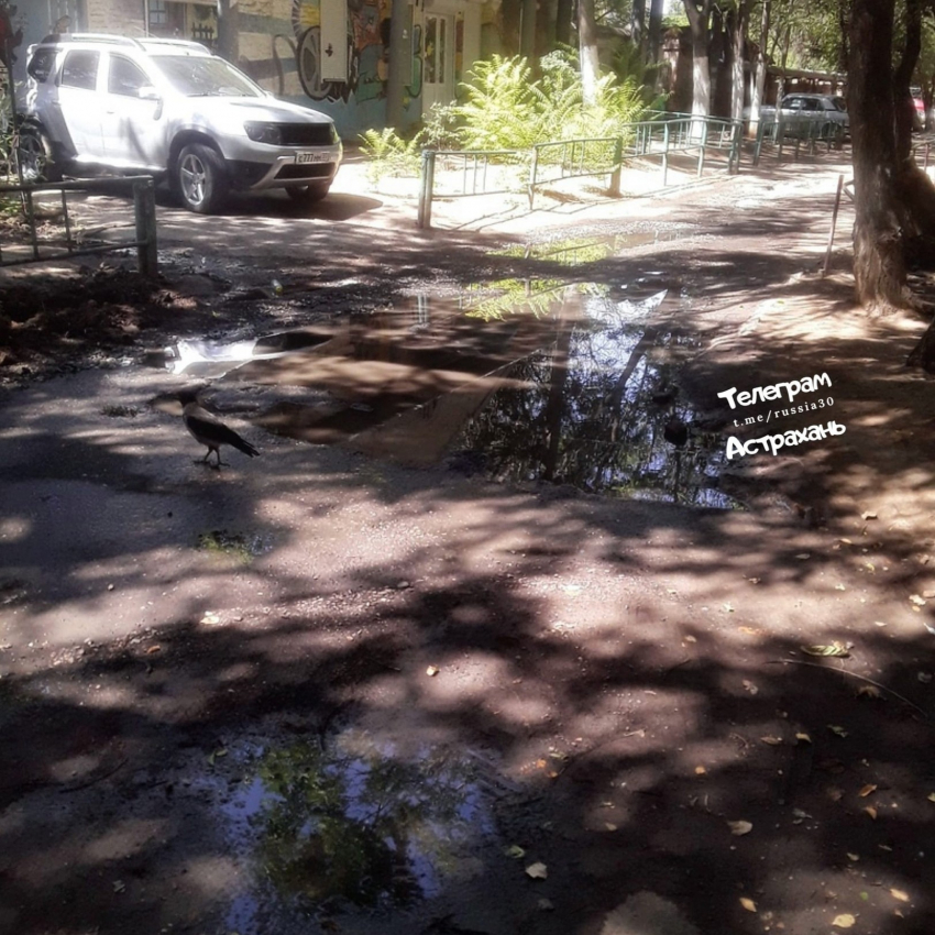 Фонтаны из нечистот: в канализации тонут жители ещё одного дома в Астрахани