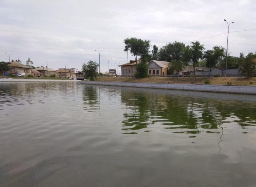 Астраханцам объяснили причину цветения воды в городских каналах