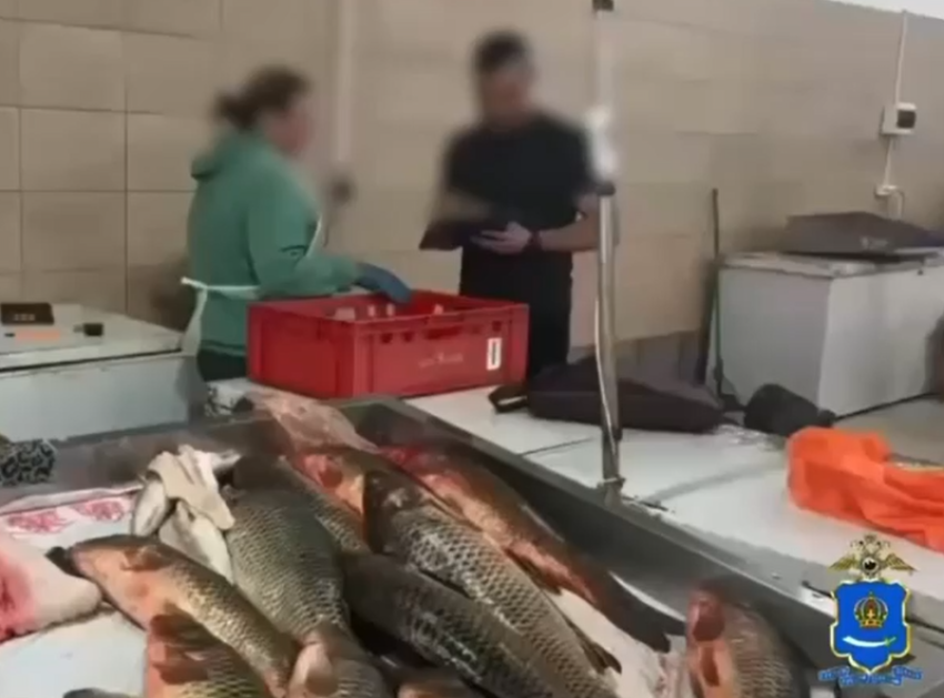В Астрахани прошли рейды по пресечению незаконной торговли и занятости