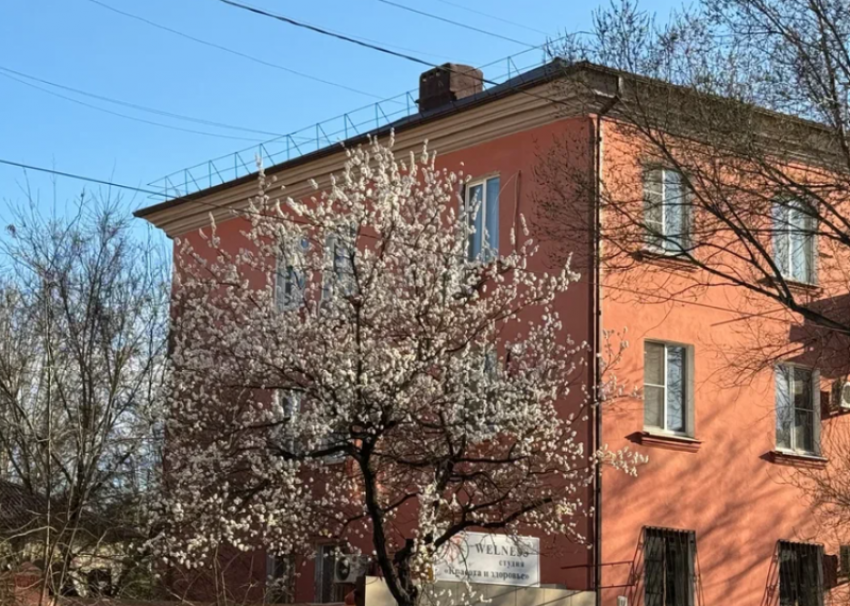 Сирота из Астрахани пожаловался на нарушение жилищных прав главе СКР