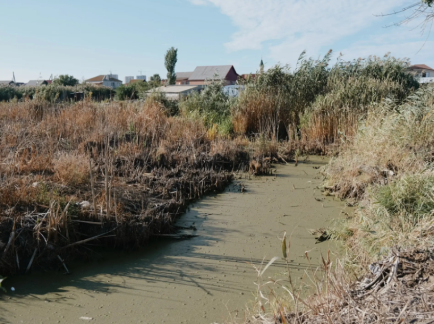 В селе Кулаковка под Астраханью засыхает кормящий ерик