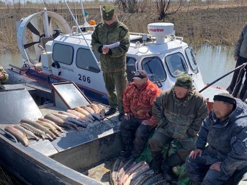Под Астраханью поймали рыбаков с сотней килограммов осетров на борту