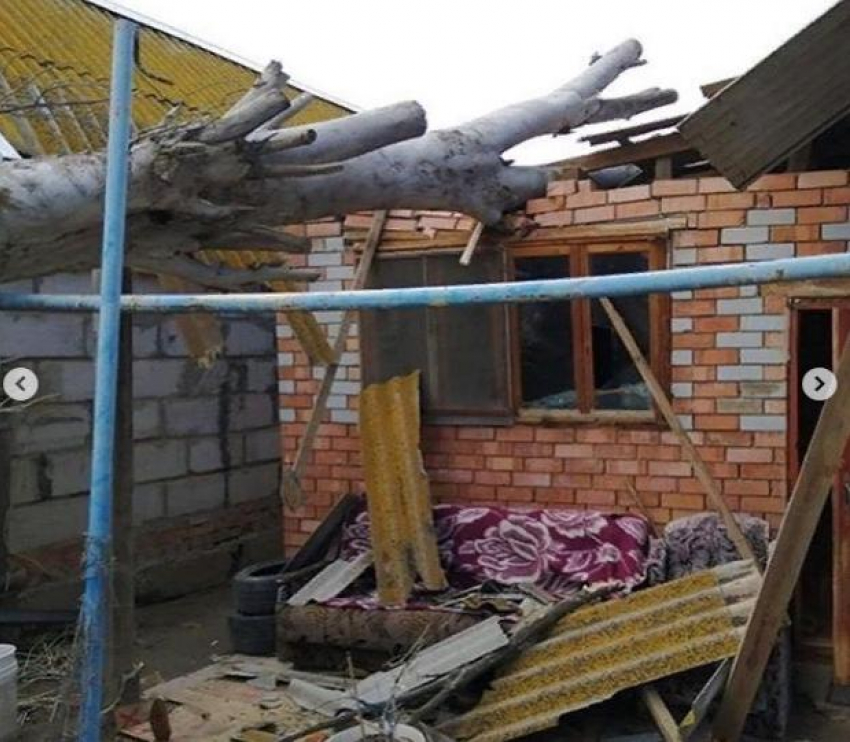 Под Астраханью рухнувшее дерево придавило дом 