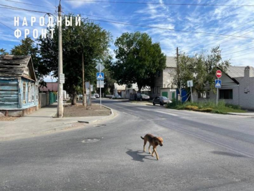 Ремонт дороги на улице Августовской обещают завершить до конца 2022 года