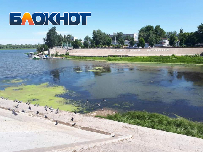 Волга в Астрахани цветет и пахнет. Опасно ли это?