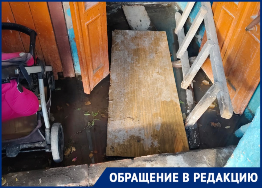 Жители дома № 56 на улице Николая Островского встретили Новый год с мышами и комарами