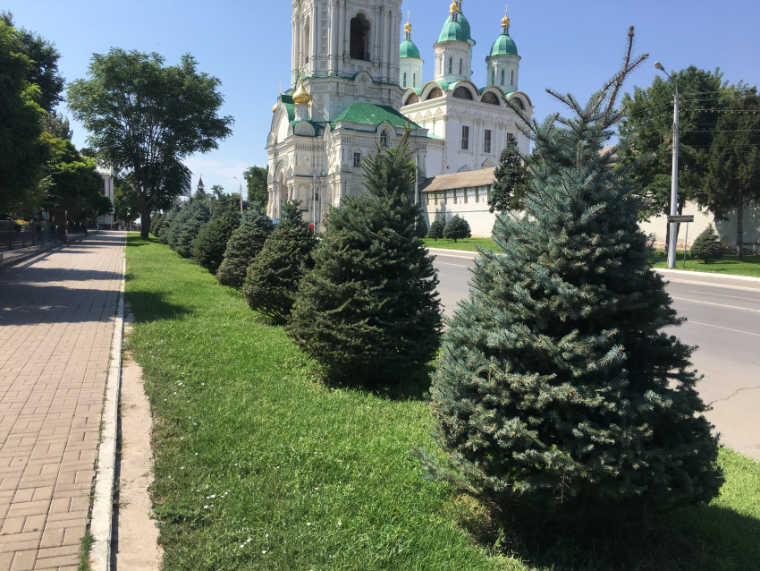 Прогноз погоды, именины, праздники в Астрахани 8 августа 