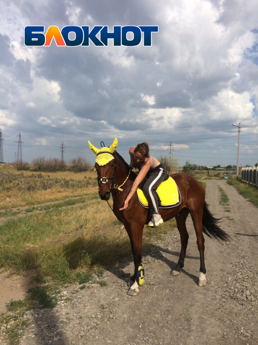 В Астраханской области у девушки пропал конь