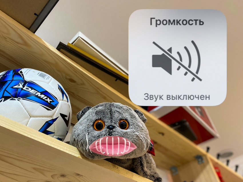 Астраханские депутаты предлагают запретить навязчивую рекламу в жилых домах 