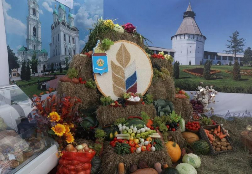 Выставка животных и фестиваль арбузов: что ждет астраханцев на агрофестивале