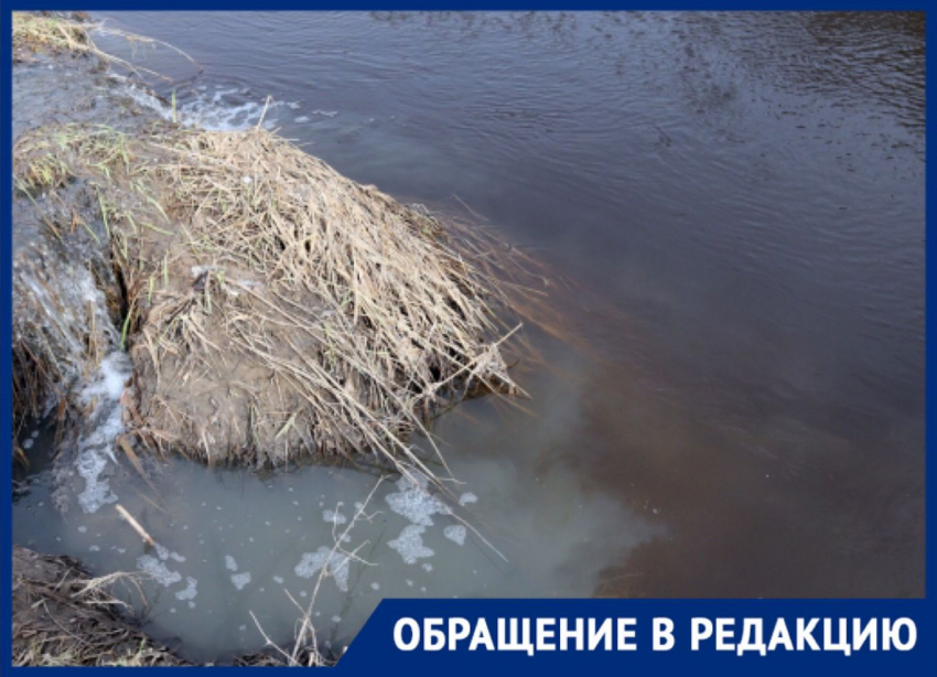 В Астрахани образовалось новое озеро - Димитровское