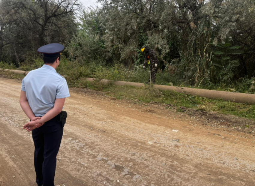 Астраханскую Тополиную рощу очистили от наркосодержащих растений
