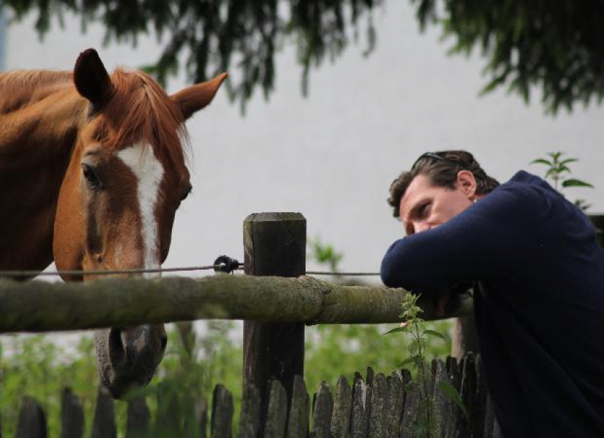 Соцсети: в Астрахани мужчина пытался заняться сексом с конем