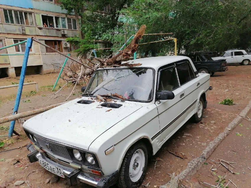 В Трусовском районе Астрахани дерево упало на машину