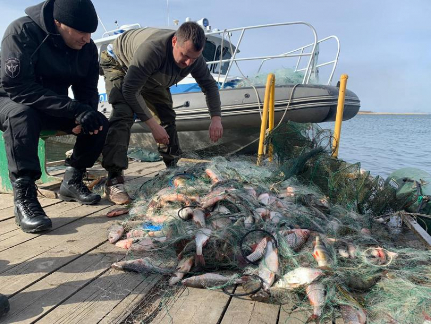 За год астраханская полиция пресекла 544 преступления в сфере рыболовства