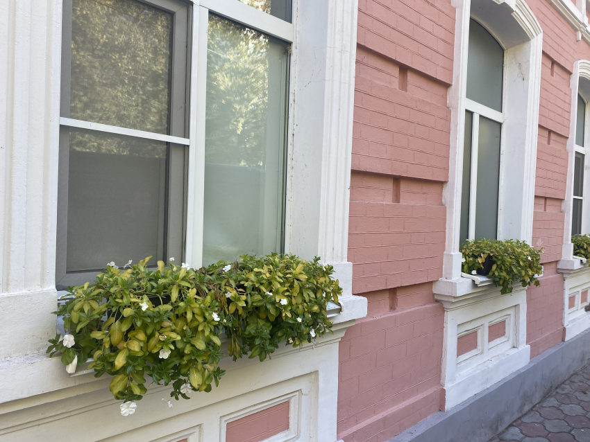 Погода, праздники, именины в четверг 19 октября