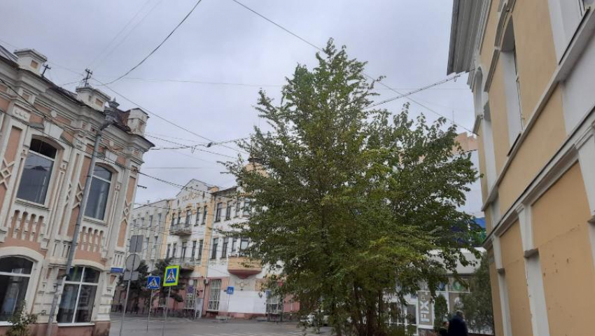 Понедельник в Астрахани будет пасмурным и очень ветренным: прогноз на 14 ноября