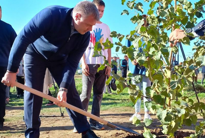 В 2022 году в Астраханской области высадили более 123 тысяч деревьев в рамках нацпроекта 