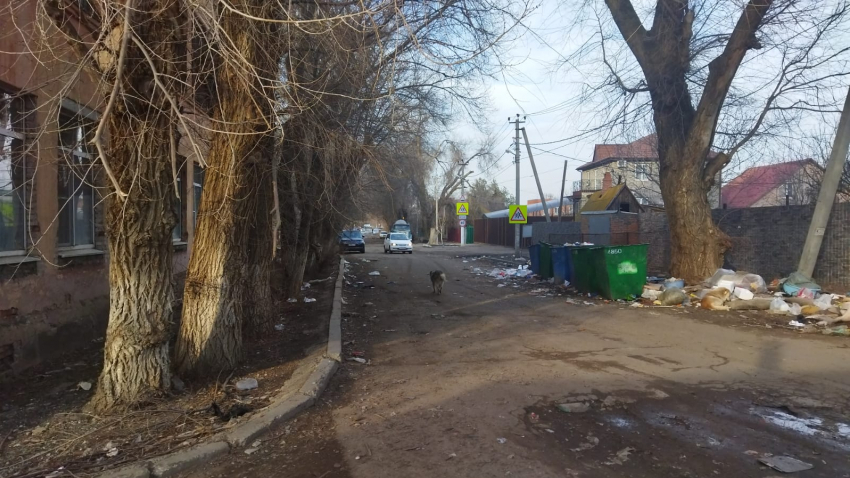 Жители посёлка Свободный жалуются на обилие мусора вблизи собственных домов